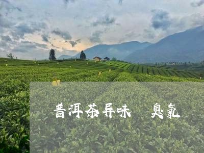 普洱茶异味 臭氧/2023041027282